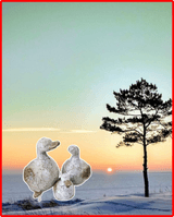 팜모닝 벼·영농일지 게시글 이미지