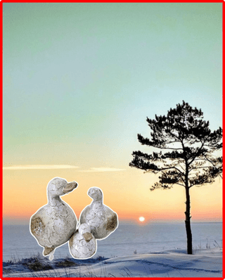 조준제님의 벼 · 영농일지 작성글 사진