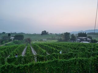 장학진님의 자유주제 · 자유게시판 작성글 사진