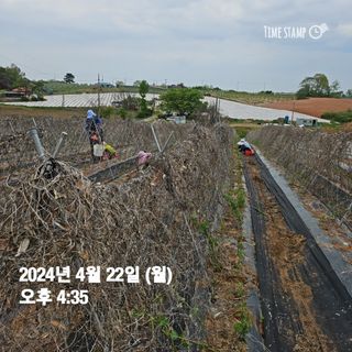 장학진님의 자유주제 · 자유게시판 작성글 사진