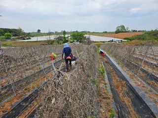 장학진님의 자유주제 · 자유게시판 작성글 사진