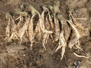 정보센터님의 작성글 사진