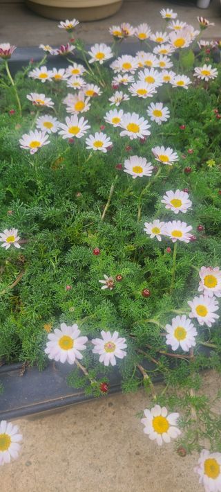 윤양현님의 자유주제 · 자유게시판 작성글 사진