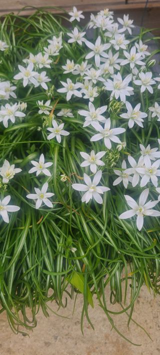 윤양현님의 자유주제 · 자유게시판 작성글 사진