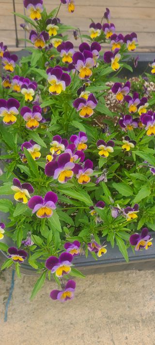 윤양현님의 자유주제 · 자유게시판 작성글 사진