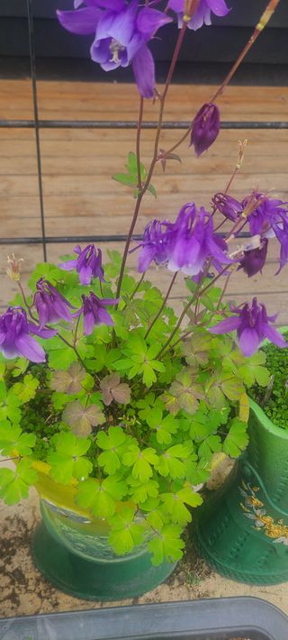 윤양현님의 자유주제 · 자유게시판 작성글 사진