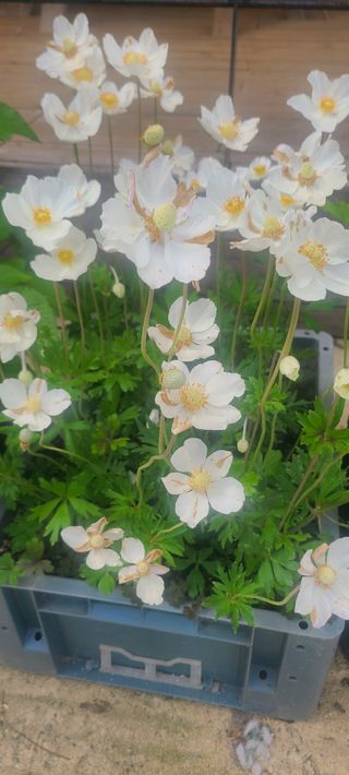 윤양현님의 자유주제 · 자유게시판 작성글 사진