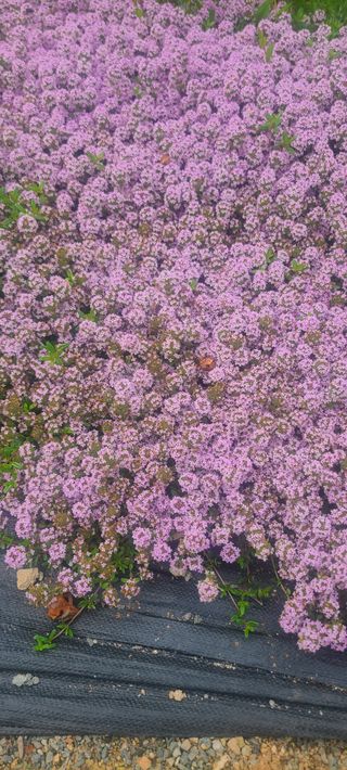 윤양현님의 자유주제 · 자유게시판 작성글 사진