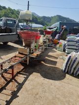 팜모닝 벼·영농일지 게시글 이미지