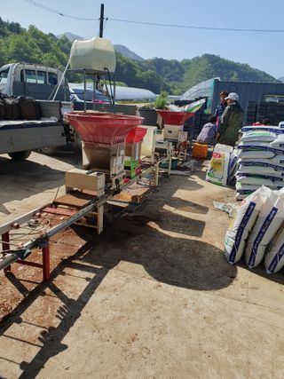 농부가된영어샘님의 벼 · 영농일지 작성글 사진