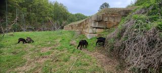 (천지산)님의 버섯 · 영농일지 작성글 사진