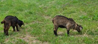 (천지산)님의 자유주제 · 자유게시판 작성글 사진