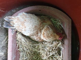 김순필수방님의 자유주제 · 자유게시판 작성글 사진