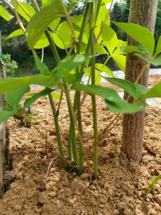 소학도토리님의 자유주제 · 건의해요 작성글 사진