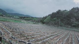 요리하는 농부님의 자유주제 · 자유게시판 작성글 사진