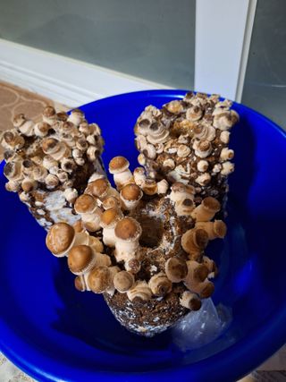 욕심내지말자님의 자유주제 · 자유게시판 작성글 사진