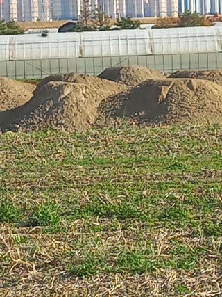 지개꾼님의 자유주제 · 건의해요 작성글 사진