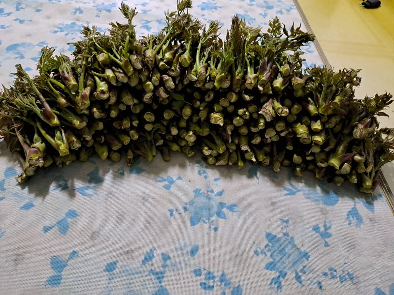 장터 상품 [드릅 ㅡ 4kg] 썸네일