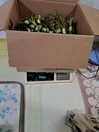 백련지기님의 작성글 사진
