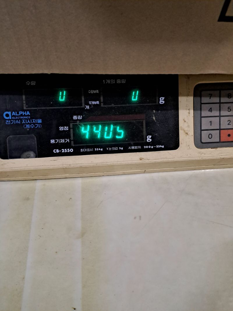 백련지기님의 장터 판매 상품 [드릅 ㅡ 4kg] 첨부 사진