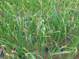 SOUL님의 자유주제 · 자유게시판 작성글 사진