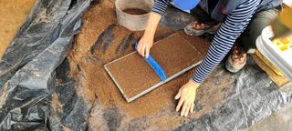 최영희님의 토마토 · 영농일지 작성글 사진