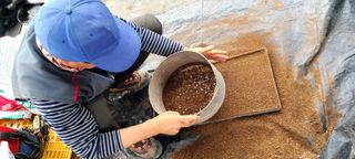 최영희님의 토마토 · 영농일지 작성글 사진