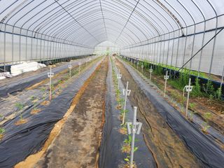 휘성님의 그곳에서 농사하게 된 계기는? · 참여글 작성글 사진