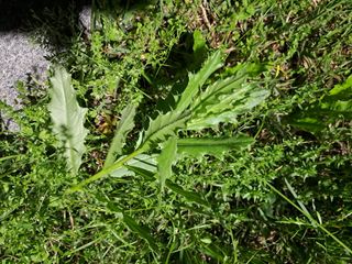 경병수님의 자유주제 · 자유게시판 작성글 사진