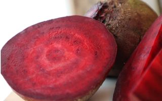 김태환님의 작성글 사진