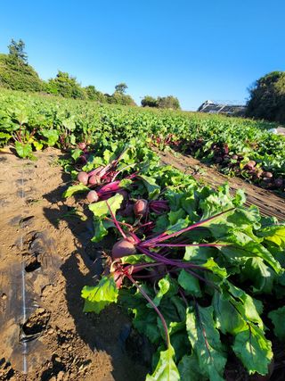 김태환님의 작성글 사진