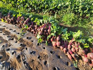 김태환님의 작성글 사진