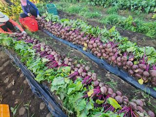 김태환님의 작성글 사진