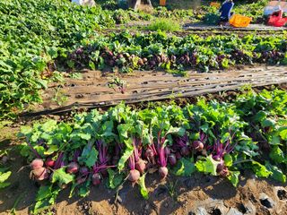 김태환님의 작성글 사진