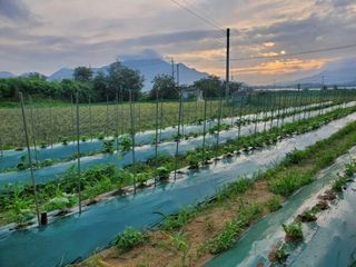 정보센터님의 작성글 사진