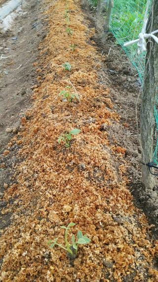 정보센터님의 작성글 사진