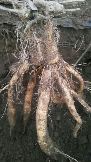 정보센터님의 작성글 사진