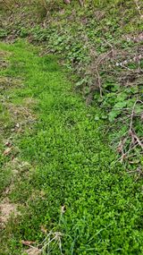 팜모닝 자유주제·자유게시판 게시글 이미지