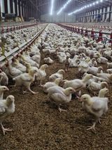 팜모닝 자유주제·사진전 게시글 이미지