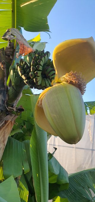 팔코스님의 자유주제 · 자유게시판 작성글 사진