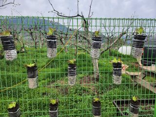 초막지기님의 자유주제 · 자유게시판 작성글 사진