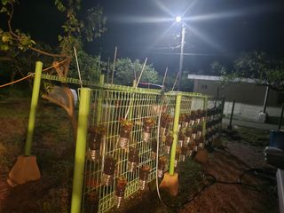 초막지기님의 자유주제 · 자유게시판 작성글 사진