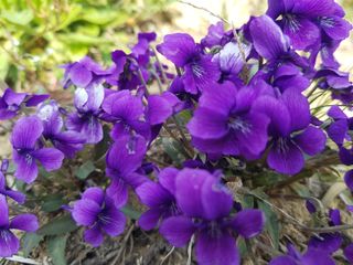 정주님의 그곳에서 농사하게 된 계기는? · 참여글 작성글 사진