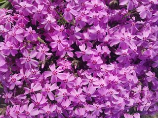 정주님의 그곳에서 농사하게 된 계기는? · 참여글 작성글 사진