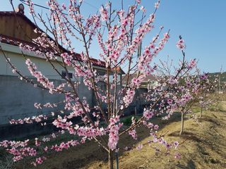 정주님의 그곳에서 농사하게 된 계기는? · 참여글 작성글 사진