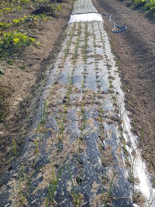 정주님의 그곳에서 농사하게 된 계기는? · 참여글 작성글 사진