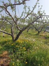 팜모닝 그곳에서 농사하게 된 계기는?·참여글 게시글 이미지