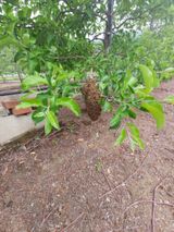 팜모닝 자유주제·자유게시판 게시글 이미지