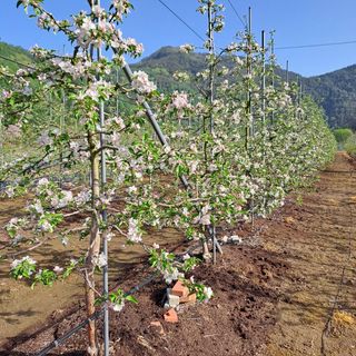스마일님의 자유주제 · 자유게시판 작성글 사진