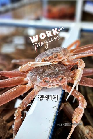 노가네수산님의 자유주제 · 사진전 작성글 사진